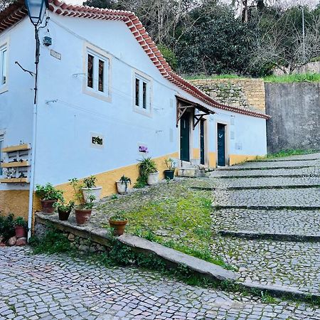 托马尔Pe Do Castelo Casinha - Pet Friendly & Garage别墅 外观 照片