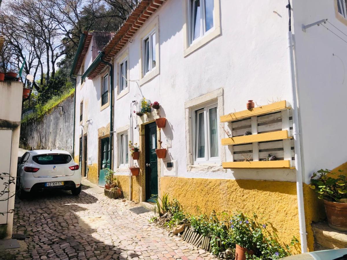 托马尔Pe Do Castelo Casinha - Pet Friendly & Garage别墅 外观 照片